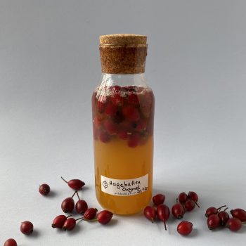 Hagebutten Oxymel
