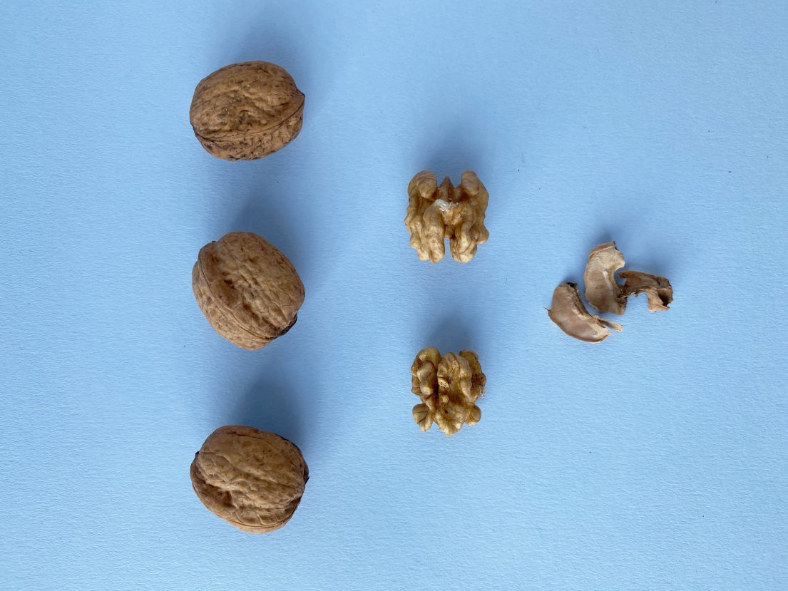 Walnuss Superfood