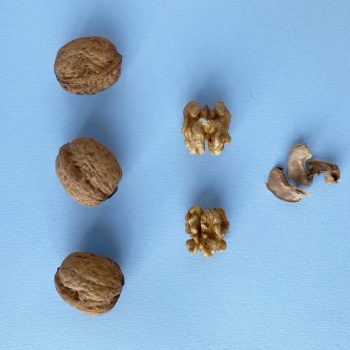 Walnuss Superfood