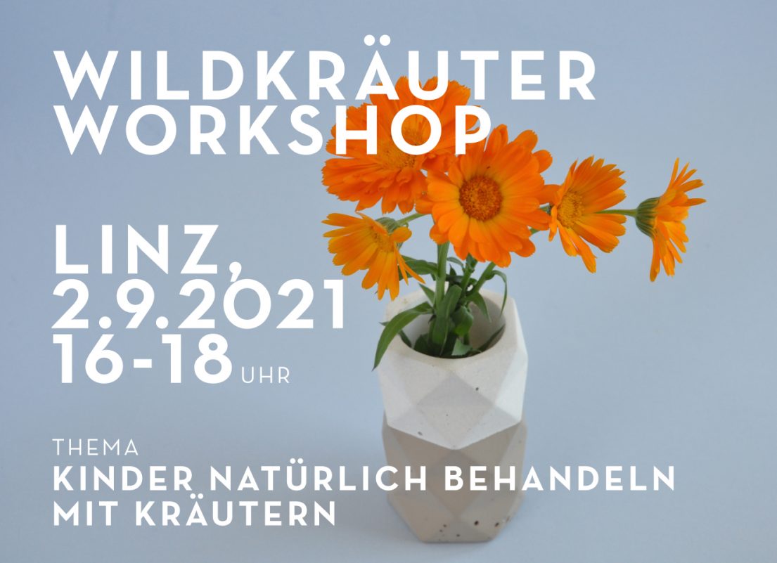 Wildkräuter Workshop